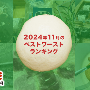 2024年11月を振り返る