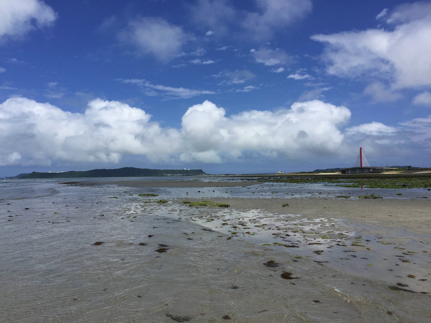 沖縄で潮干狩りをするとなにが穫れるのか 沖縄b級ポータル Deeokinawa でぃーおきなわ