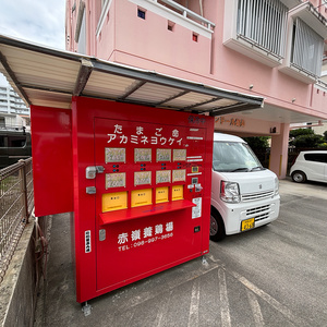 沖縄おもしろ自販機 2024 夏の陣